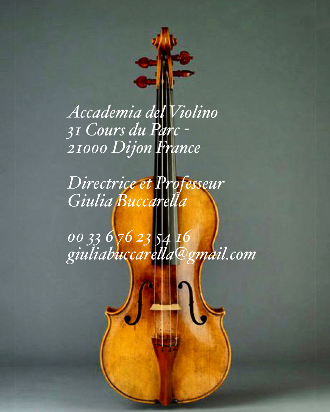 Violon