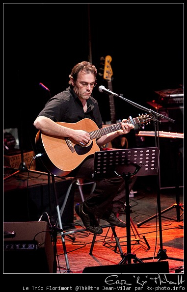 Guitare acoustique, Guitare basse, Guitare électrique