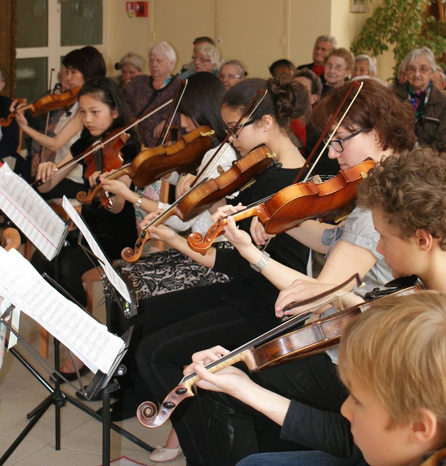 Contrebasse, Violon Alto, Violoncelle