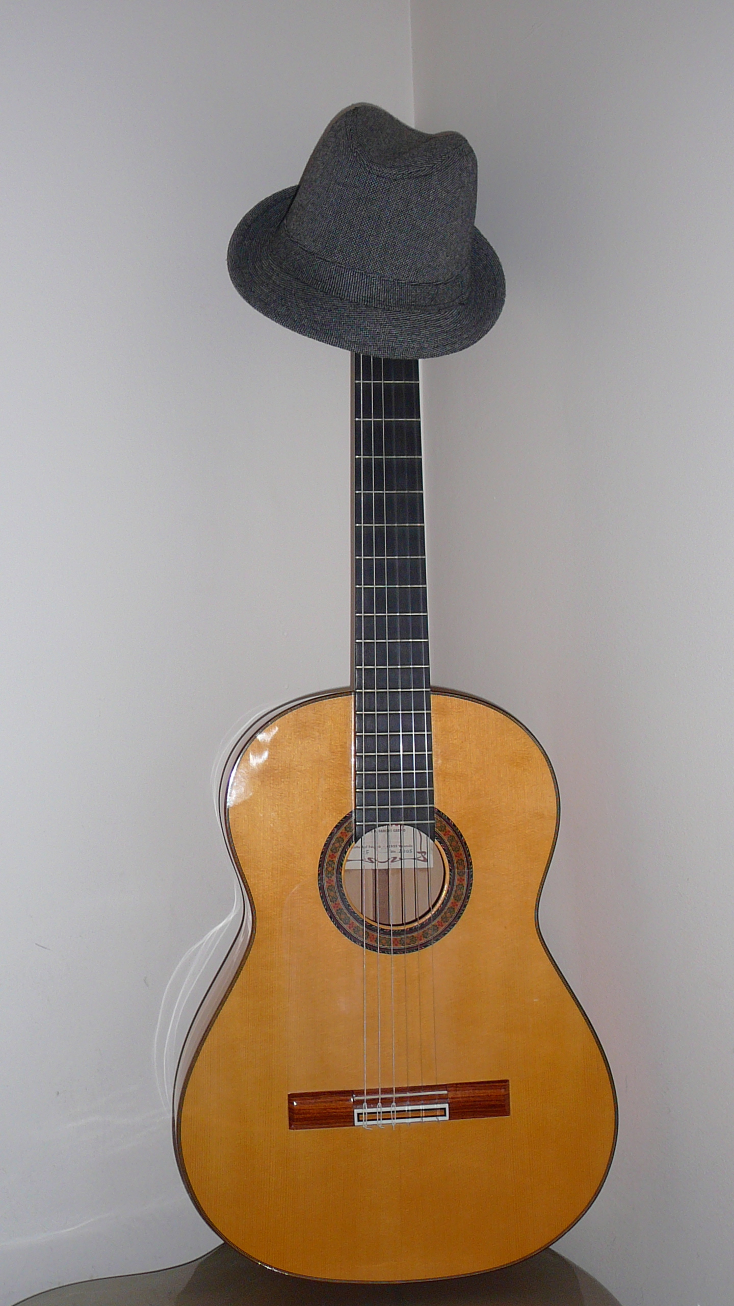 Guitare acoustique
